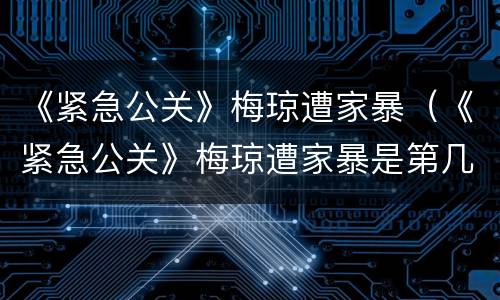 《紧急公关》梅琼遭家暴（《紧急公关》梅琼遭家暴是第几集）