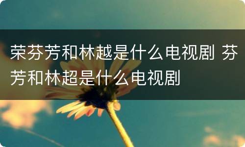 荣芬芳和林越是什么电视剧 芬芳和林超是什么电视剧