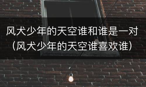 风犬少年的天空谁和谁是一对（风犬少年的天空谁喜欢谁）