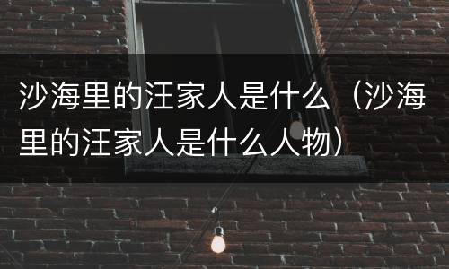 沙海里的汪家人是什么（沙海里的汪家人是什么人物）