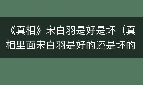 《真相》宋白羽是好是坏（真相里面宋白羽是好的还是坏的）