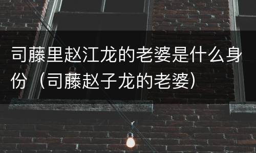 司藤里赵江龙的老婆是什么身份（司藤赵子龙的老婆）