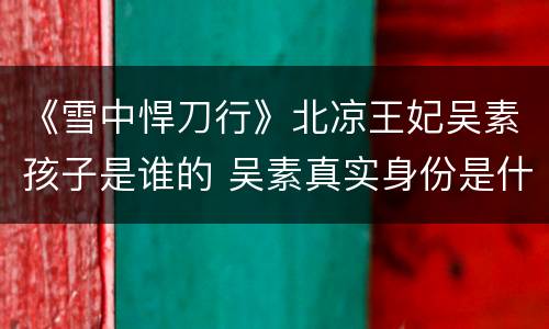 《雪中悍刀行》北凉王妃吴素孩子是谁的 吴素真实身份是什么