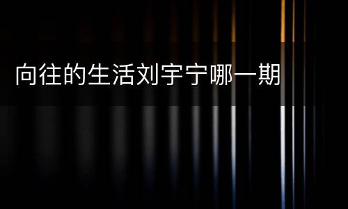 向往的生活刘宇宁哪一期
