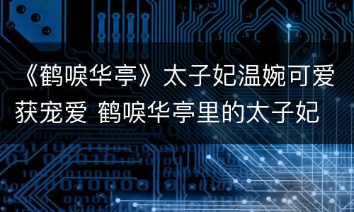 《鹤唳华亭》太子妃温婉可爱获宠爱 鹤唳华亭里的太子妃