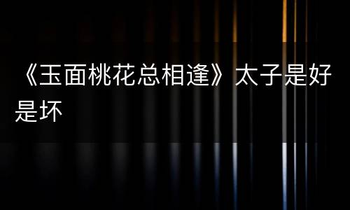 《玉面桃花总相逢》太子是好是坏