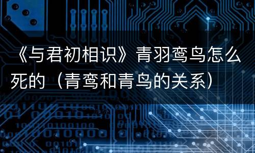 《与君初相识》青羽鸾鸟怎么死的（青鸾和青鸟的关系）