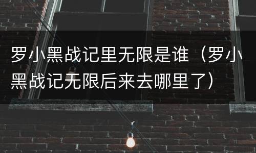 罗小黑战记里无限是谁（罗小黑战记无限后来去哪里了）