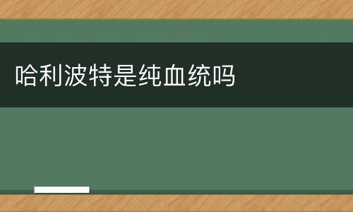 哈利波特是纯血统吗