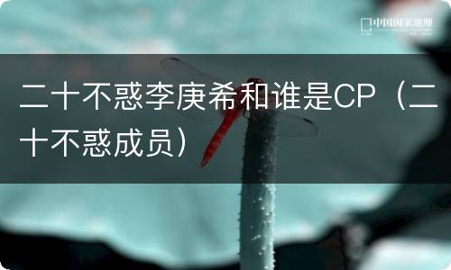 二十不惑李庚希和谁是CP（二十不惑成员）