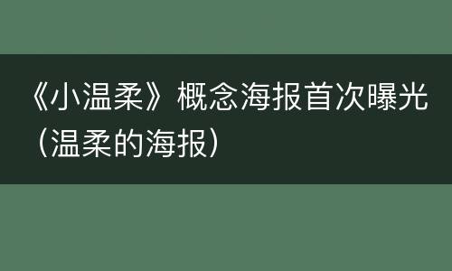 《小温柔》概念海报首次曝光（温柔的海报）