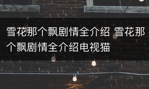 雪花那个飘剧情全介绍 雪花那个飘剧情全介绍电视猫