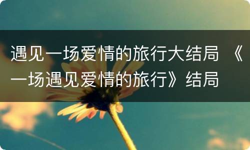 遇见一场爱情的旅行大结局 《一场遇见爱情的旅行》结局