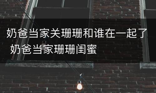 奶爸当家关珊珊和谁在一起了 奶爸当家珊珊闺蜜