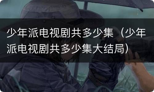少年派电视剧共多少集（少年派电视剧共多少集大结局）