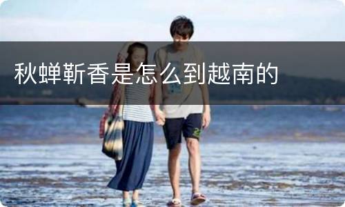 秋蝉靳香是怎么到越南的