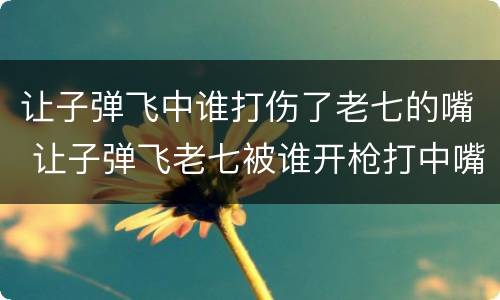 让子弹飞中谁打伤了老七的嘴 让子弹飞老七被谁开枪打中嘴的