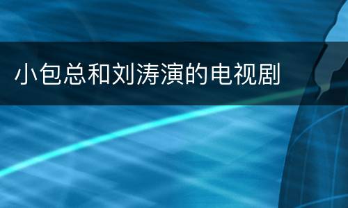 小包总和刘涛演的电视剧