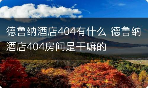 德鲁纳酒店404有什么 德鲁纳酒店404房间是干嘛的