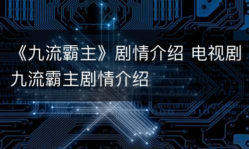 《九流霸主》剧情介绍 电视剧九流霸主剧情介绍