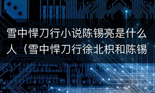 雪中悍刀行小说陈锡亮是什么人（雪中悍刀行徐北枳和陈锡亮）
