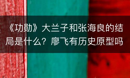 《功勋》大兰子和张海良的结局是什么？廖飞有历史原型吗？