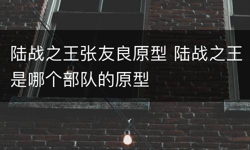 陆战之王张友良原型 陆战之王是哪个部队的原型