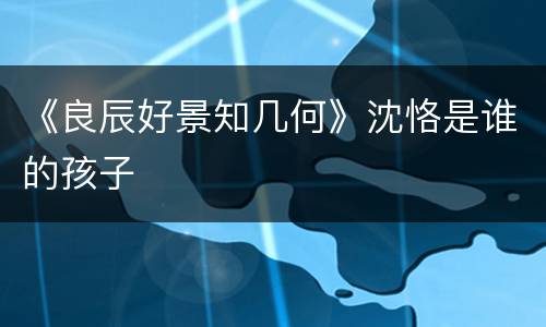 《良辰好景知几何》沈恪是谁的孩子