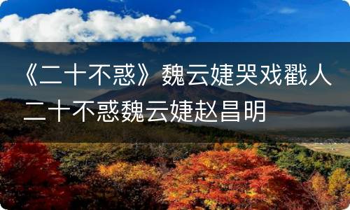 《二十不惑》魏云婕哭戏戳人 二十不惑魏云婕赵昌明