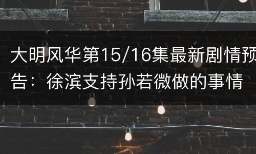 大明风华第15/16集最新剧情预告：徐滨支持孙若微做的事情