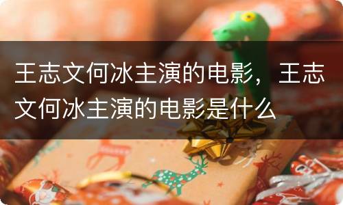 王志文何冰主演的电影，王志文何冰主演的电影是什么