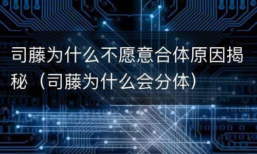 司藤为什么不愿意合体原因揭秘（司藤为什么会分体）