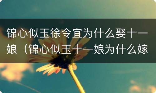 锦心似玉徐令宜为什么娶十一娘（锦心似玉十一娘为什么嫁给徐）