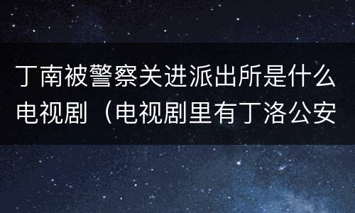 丁南被警察关进派出所是什么电视剧（电视剧里有丁洛公安局局长）