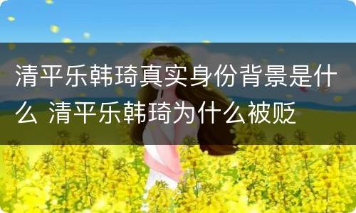 清平乐韩琦真实身份背景是什么 清平乐韩琦为什么被贬