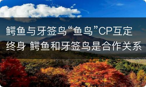 鳄鱼与牙签鸟“鱼鸟”CP互定终身 鳄鱼和牙签鸟是合作关系吗