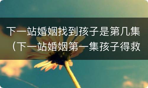 下一站婚姻找到孩子是第几集（下一站婚姻第一集孩子得救了吗）