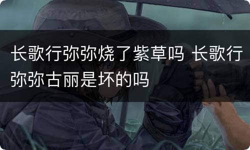 长歌行弥弥烧了紫草吗 长歌行弥弥古丽是坏的吗