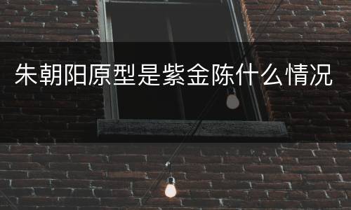 朱朝阳原型是紫金陈什么情况