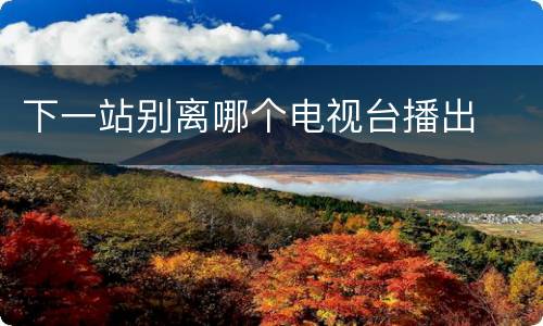 下一站别离哪个电视台播出