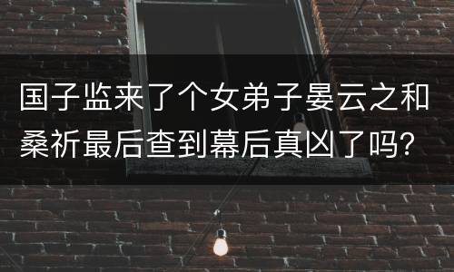 国子监来了个女弟子晏云之和桑祈最后查到幕后真凶了吗？桑家的结局如何？