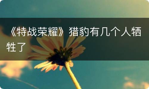 《特战荣耀》猎豹有几个人牺牲了