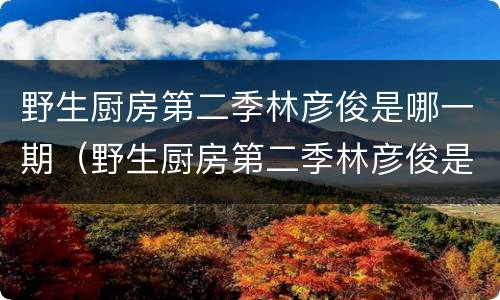 野生厨房第二季林彦俊是哪一期（野生厨房第二季林彦俊是哪一期出现的）