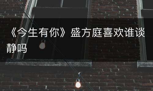 《今生有你》盛方庭喜欢谁谈静吗