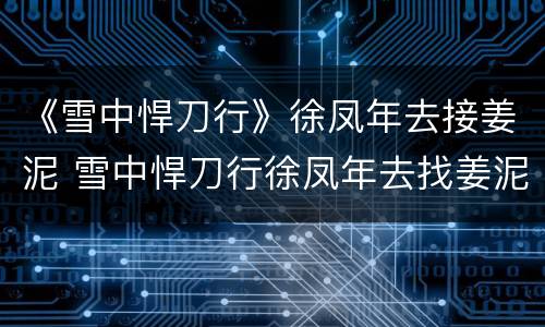 《雪中悍刀行》徐凤年去接姜泥 雪中悍刀行徐凤年去找姜泥
