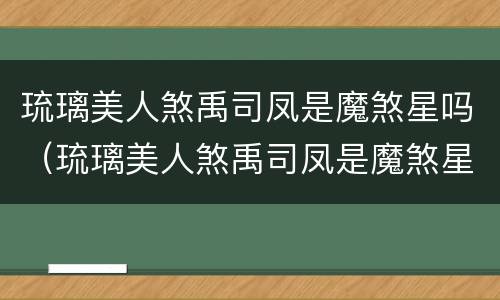 琉璃美人煞禹司凤是魔煞星吗（琉璃美人煞禹司凤是魔煞星吗）