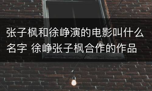 张子枫和徐峥演的电影叫什么名字 徐峥张子枫合作的作品