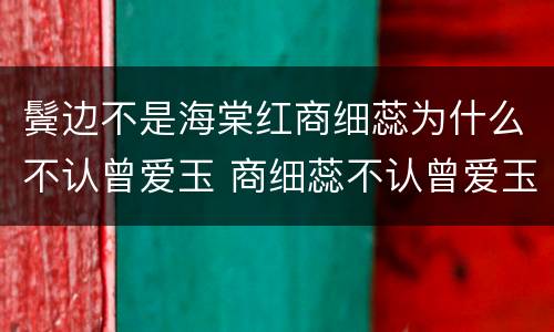 鬓边不是海棠红商细蕊为什么不认曾爱玉 商细蕊不认曾爱玉原因