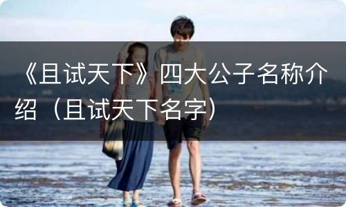 《且试天下》四大公子名称介绍（且试天下名字）
