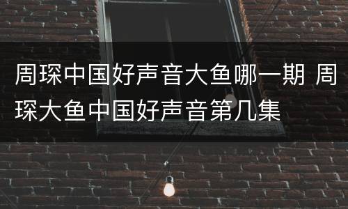 周琛中国好声音大鱼哪一期 周琛大鱼中国好声音第几集